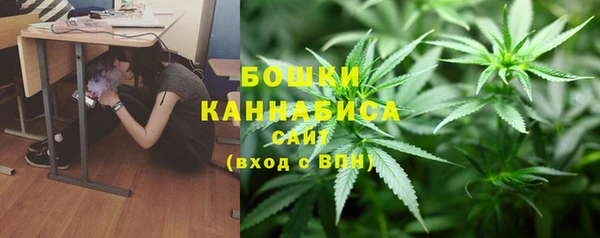 амф Зеленокумск