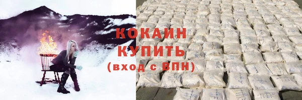 крисы Зерноград