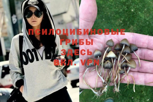 амф Зеленокумск