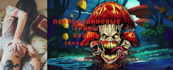 крисы Зерноград