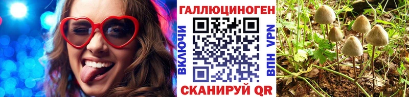 Псилоцибиновые грибы Psilocybine cubensis  Купить где  Тайшет 