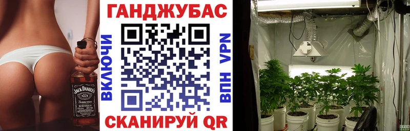 Купить где  Тайшет  Канабис SATIVA & INDICA 